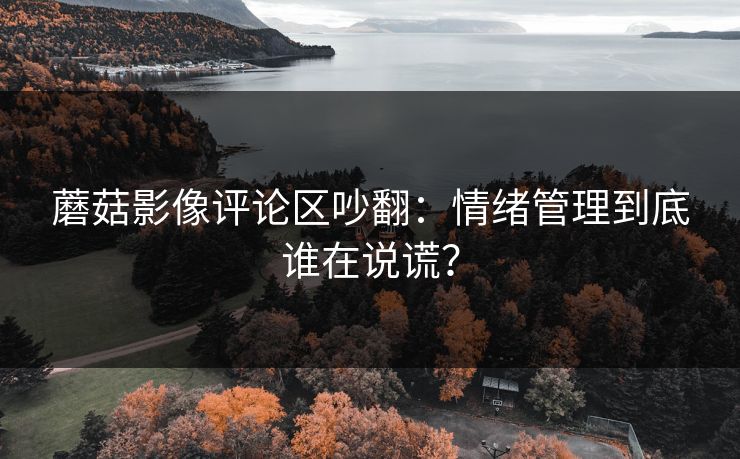 蘑菇影像评论区吵翻：情绪管理到底谁在说谎？