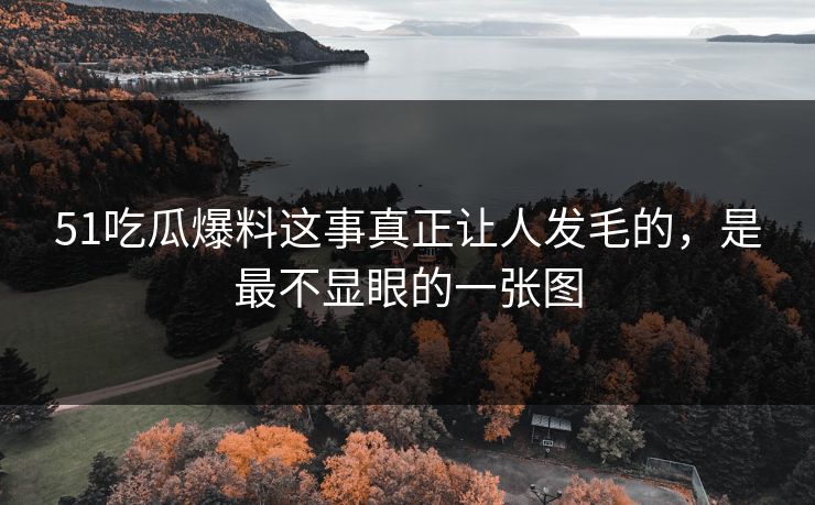 51吃瓜爆料这事真正让人发毛的，是最不显眼的一张图
